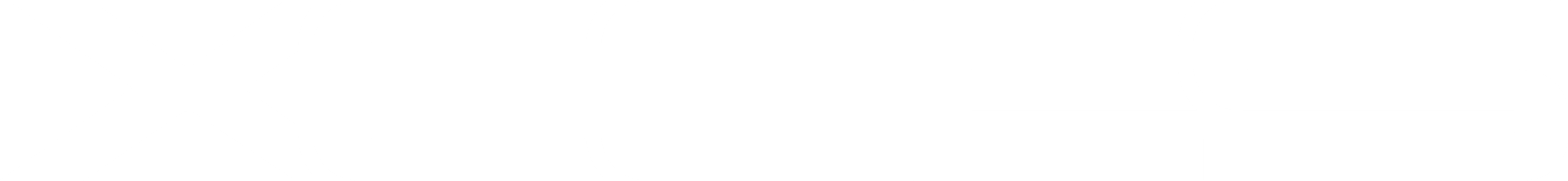 Logo XCCES_weiss